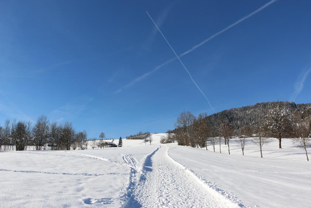 DEVA Villa Mittermaier Reit im Winkl Extérieur photo